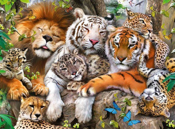 DIAMOND PAINTING -faules Tier