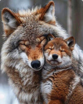 DIAMOND PAINTING - Wolf
