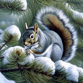 DIAMOND PAINTING - Eichhörnchen