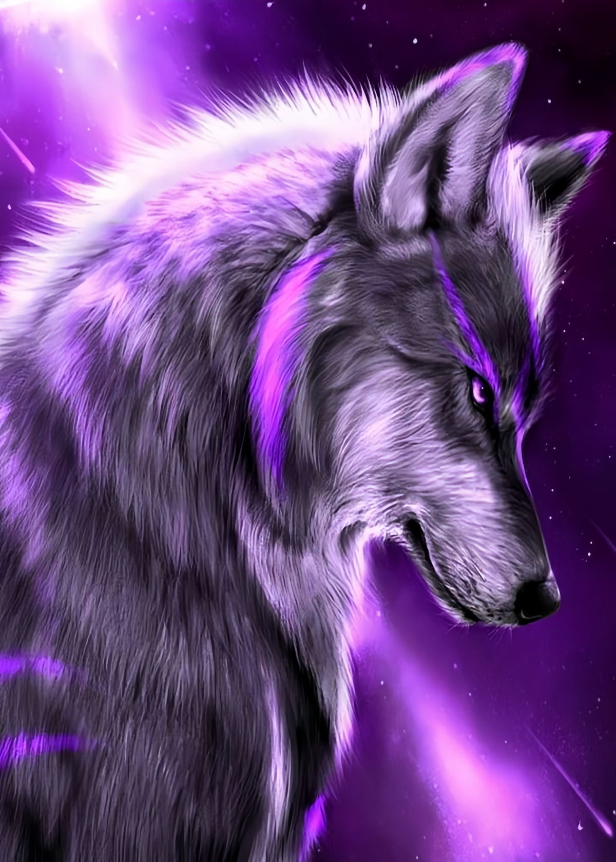 DIAMOND PAINTING -  Wolf