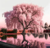 DIAMOND PAINTING - Baumansicht