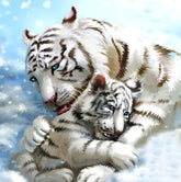 DIAMOND PAINTING - Tiger
