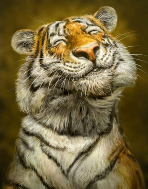 DIAMOND PAINTING -lächelnder Tiger
