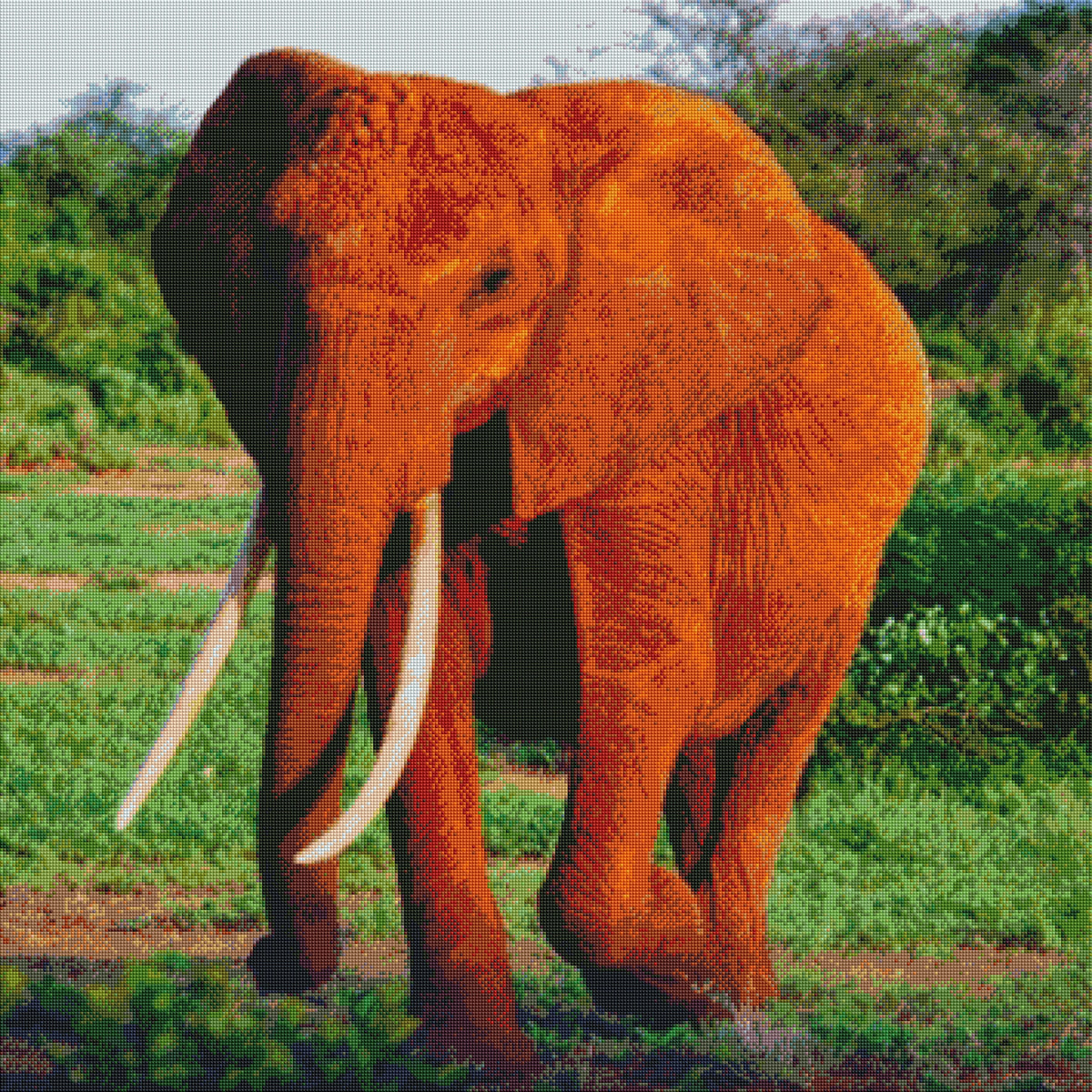 DIAMOND PAINTING -AFRIKANISCHER ELEFANT