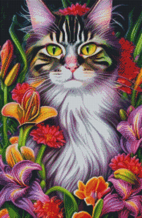 DIAMOND PAINTING -KATZE