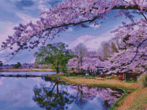 DIAMOND PAINTING -Blick auf die Kirschblüte