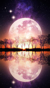 DIAMOND PAINTING - MOND