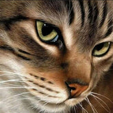 DIAMOND PAINTING -KATZE