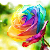 DIAMOND PAINTING -BLUME
