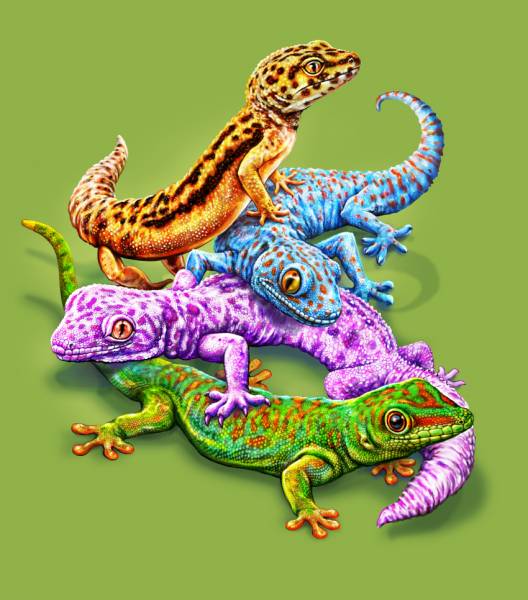 DIAMOND PAINTING -CHAMÄLEON