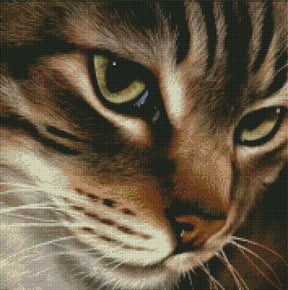DIAMOND PAINTING -KATZE