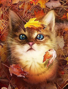 DIAMOND PAINTING - Katze